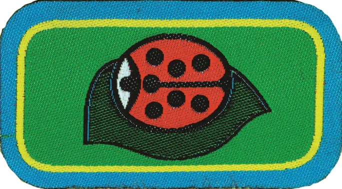 Distintivo progressione personale cerchio Coccinella del prato