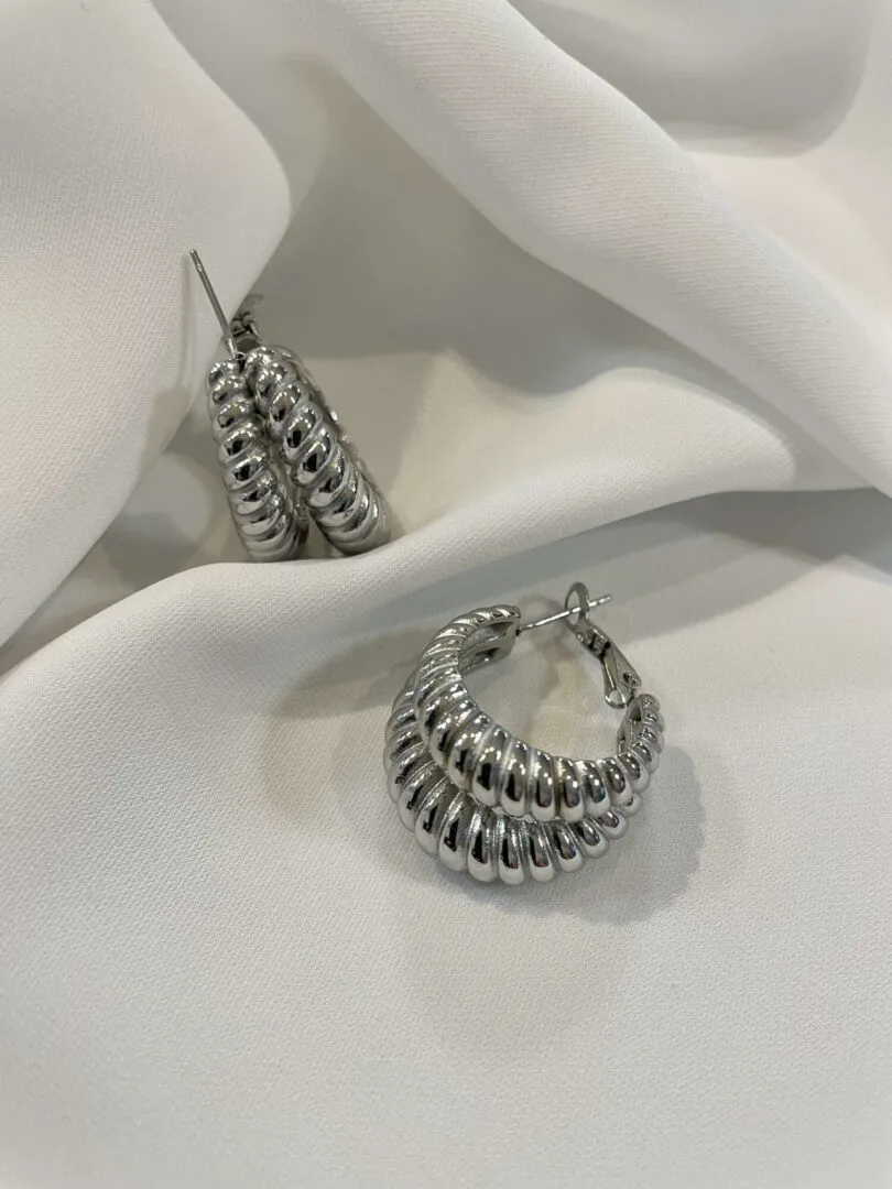 Steel Earrings