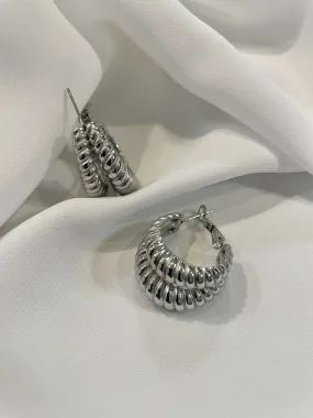 Steel Earrings