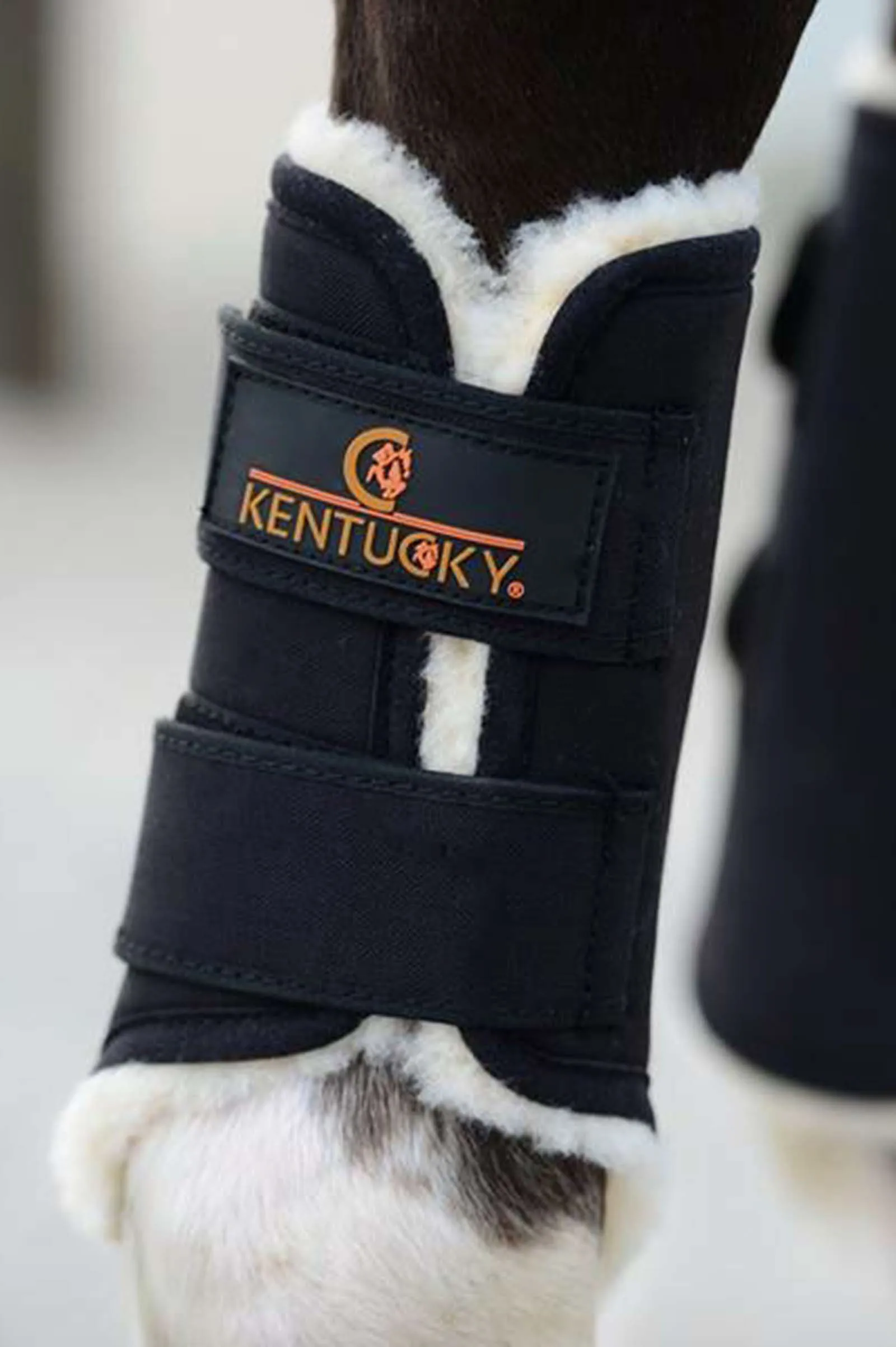 Stivali Kentucky Horsewear Solimbra Turnout, davanti